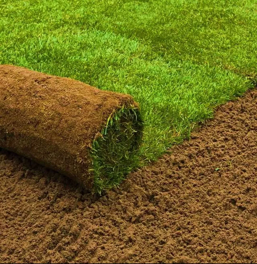 Slide of Ramírez Irrigación Sprinkler Service