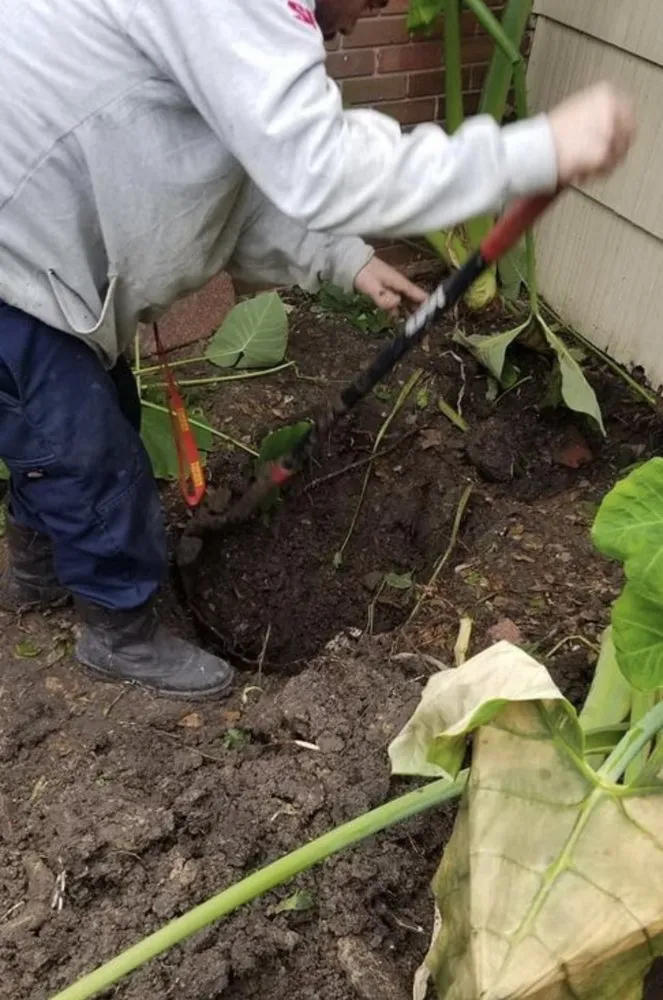 Slide of Ramsey Plumbing