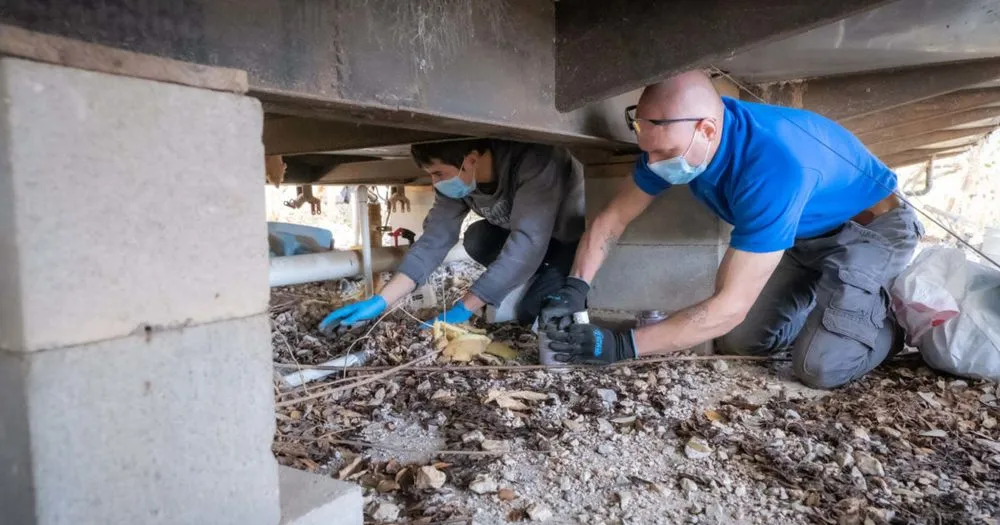 Quality leak detection for homes in Rancho Palos Verdes, CA by Rancho Palos Verdes Sewer Pros