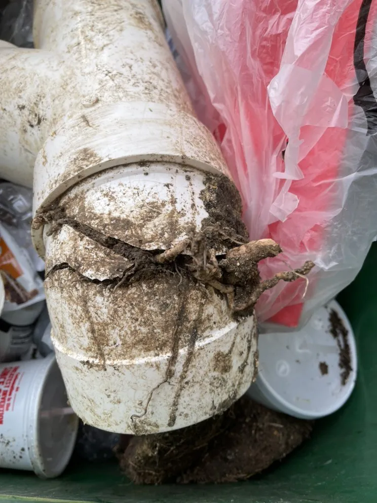 Trusted leak detection in Rancho Santa Margarita, CA by Rancho Santa Margarita Hydrojet