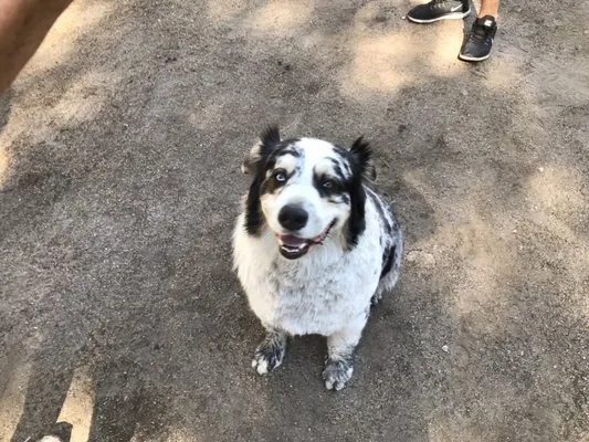 Randy Cross Plumbing