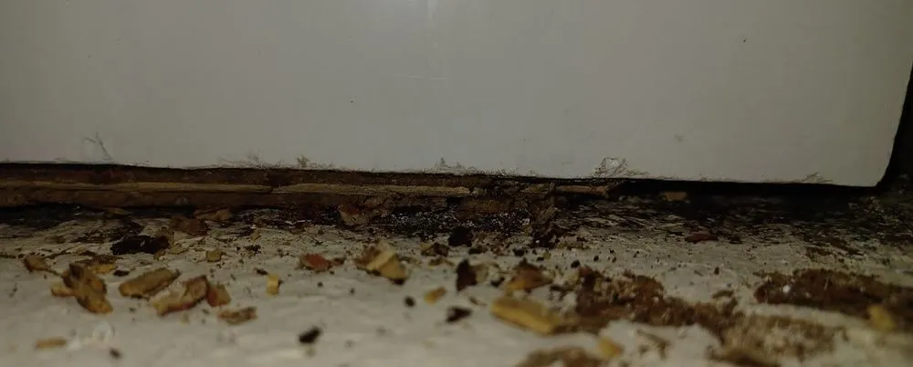 Slide of Randy's Plumbing