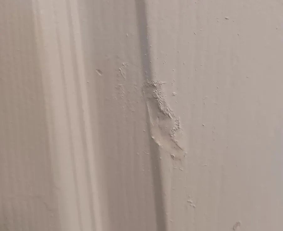 Slide of Randy's Plumbing