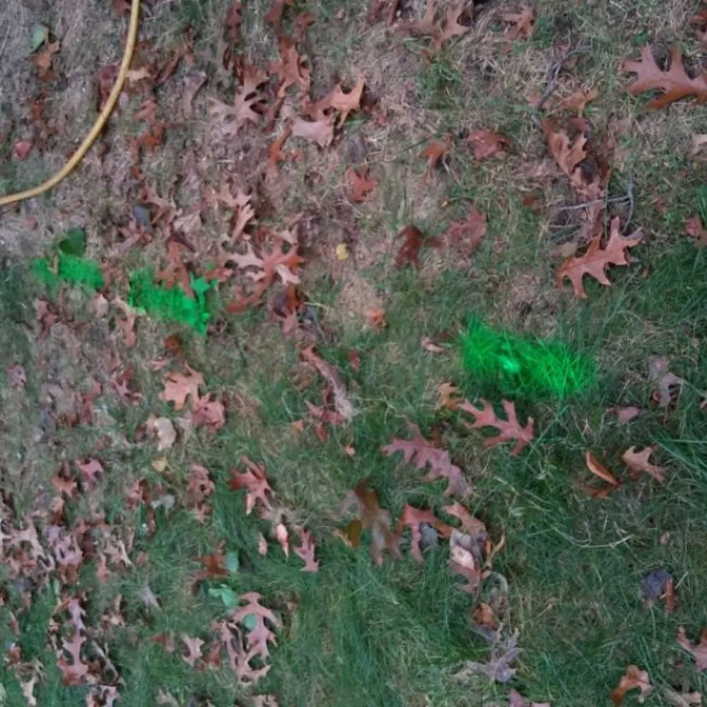 Slide of Ranger Sewer