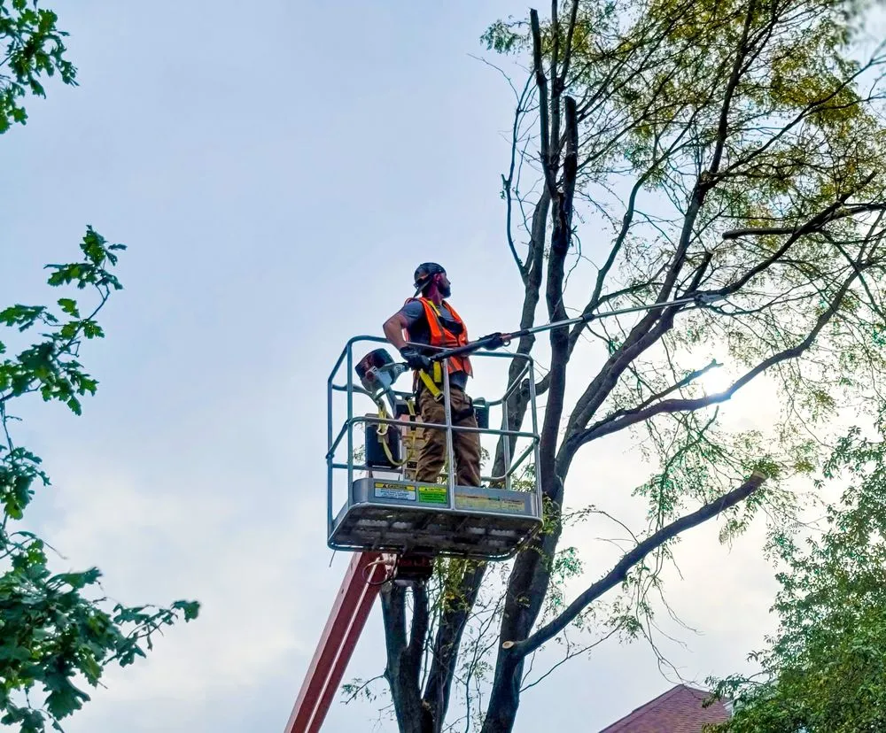 Slide of Rannebarger Home Maintenance