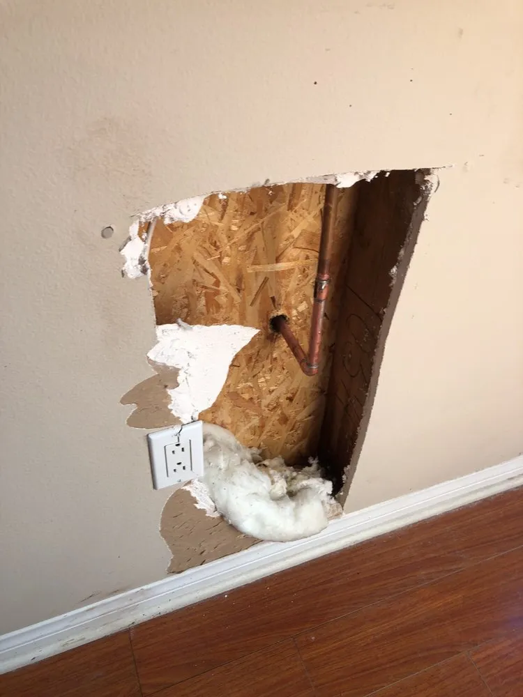 Slide of Rapid Action Rooter