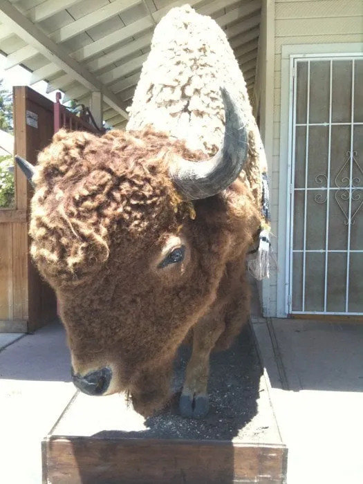 Slide of Rapid Action Rooter