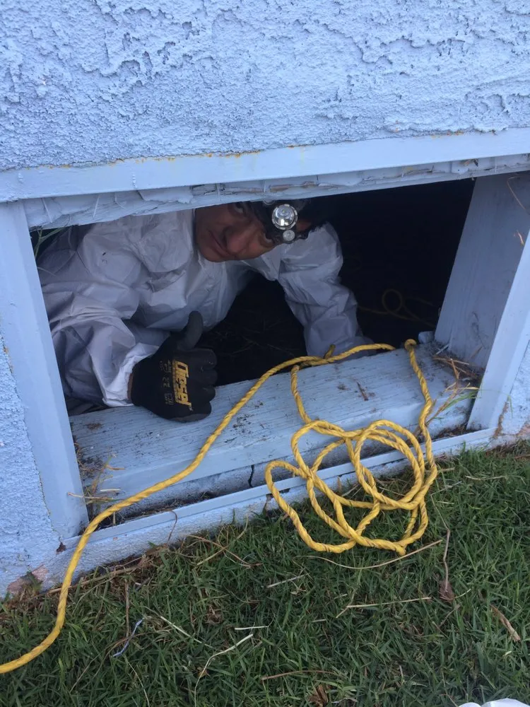 Slide of Rapid Action Rooter