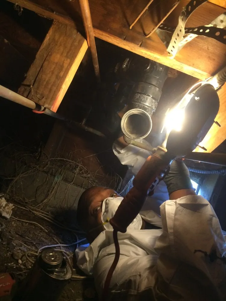 Slide of Rapid Action Rooter