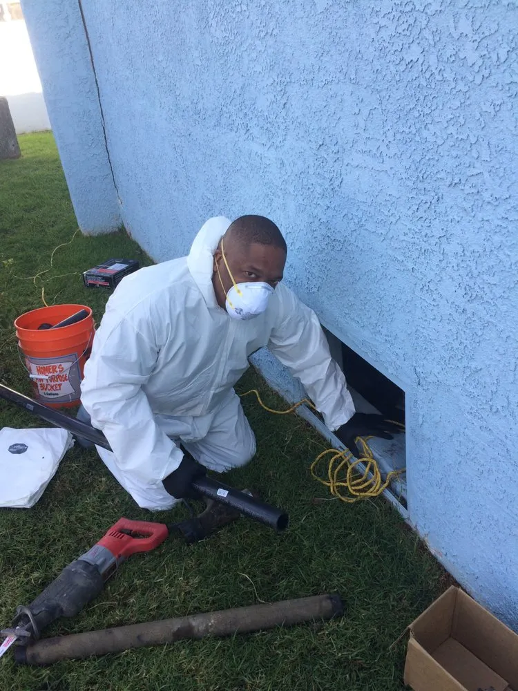 Slide of Rapid Action Rooter