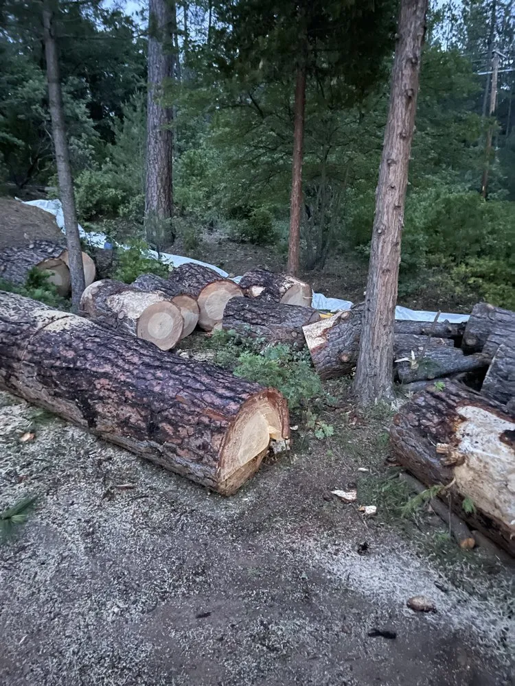 Slide of Rapid Home Services