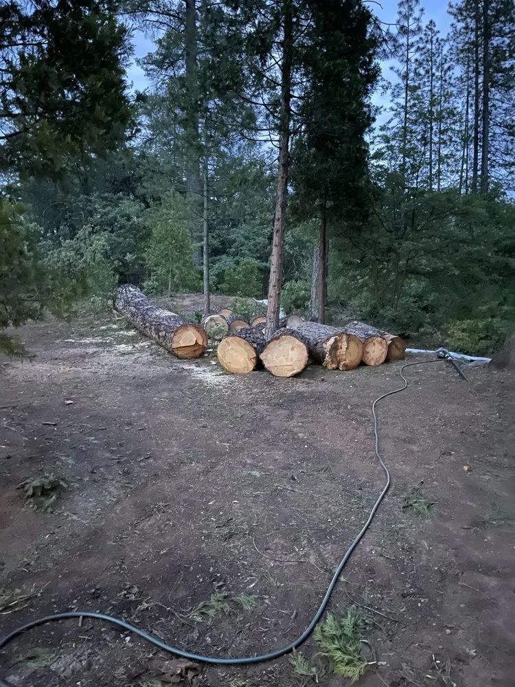 Slide of Rapid Home Services