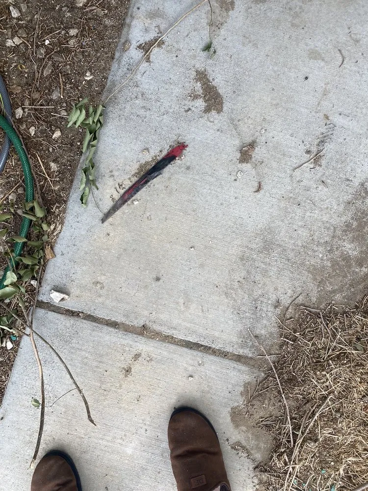 Slide of Rapid Plumbing Rooter Service