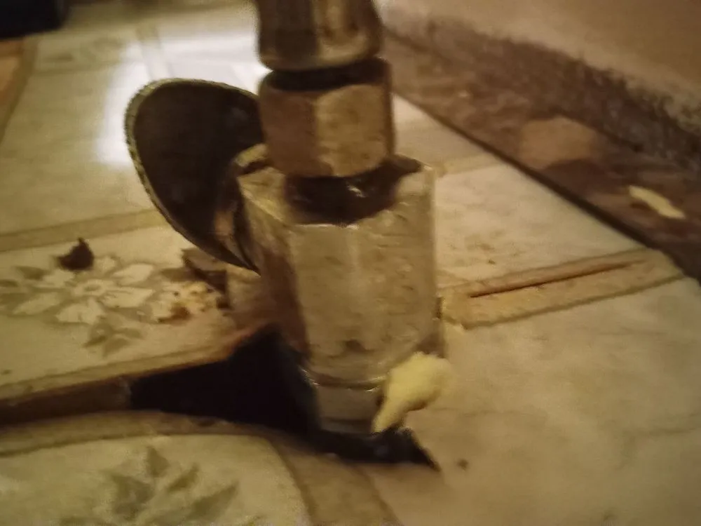 Slide of Rapid Repair