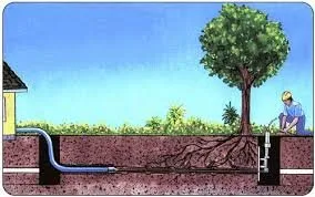 Slide of Rapid Rhino Plumbing & Rooter