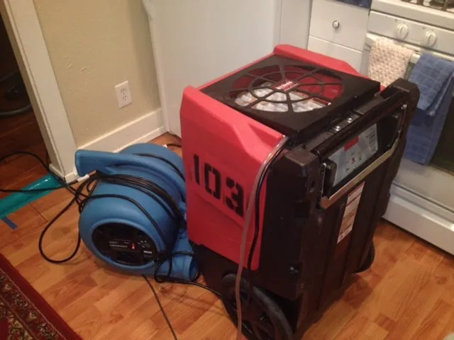 Expert drain cleaning in Monrovia, CA by Rapid Rhino Plumbing & Rooter