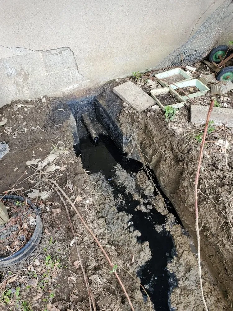 Slide of Rapid Rooter