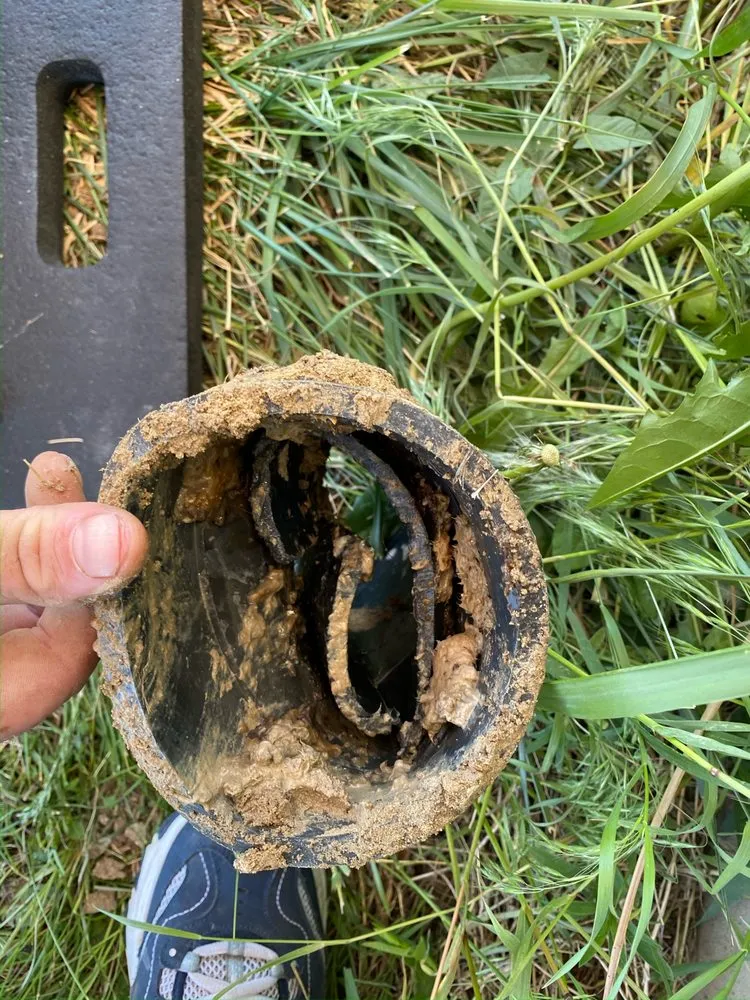 Slide of Rapid Rooter