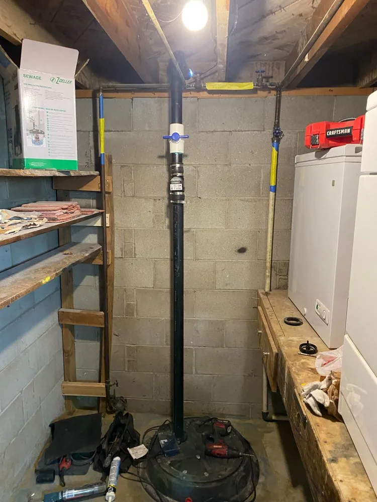 Slide of Rapid Rooter