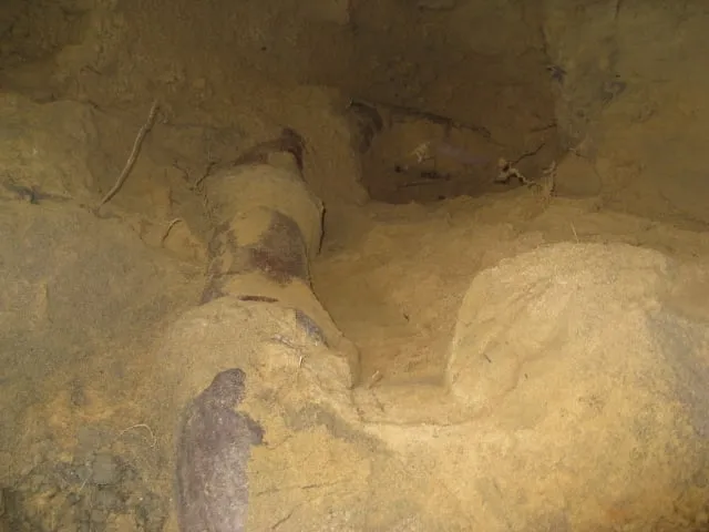 Slide of Rapid Rooter