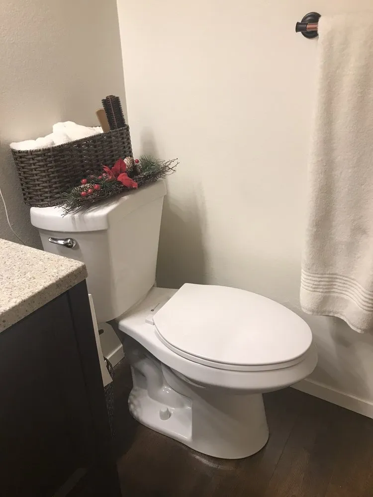 Slide of Rapid Rooter