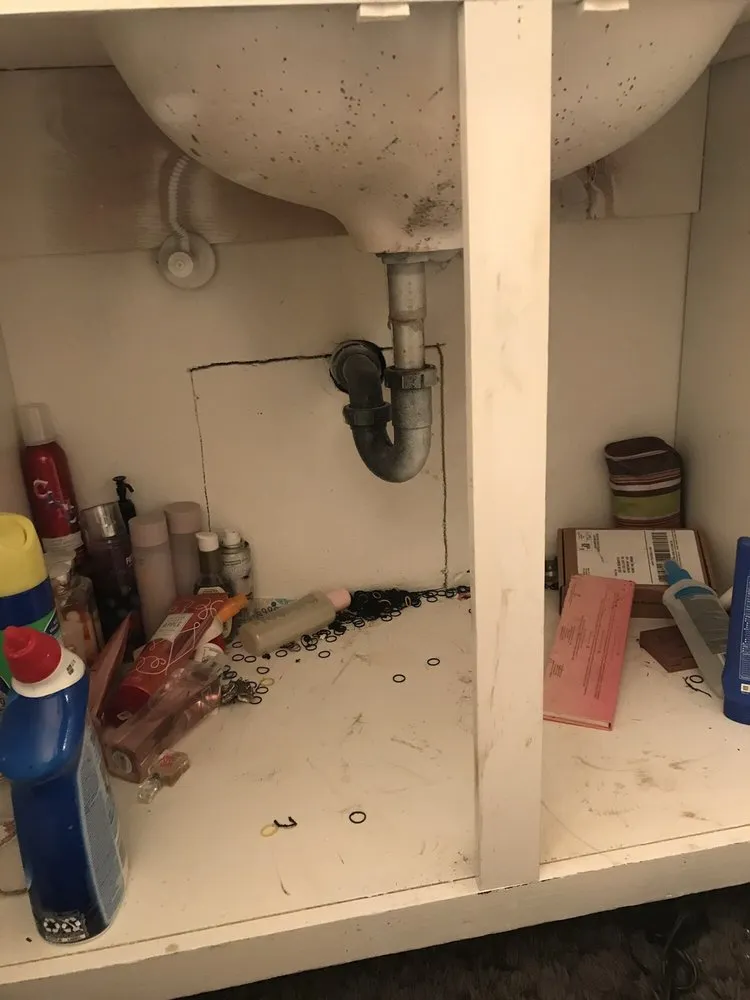 Slide of Rapid Rooter