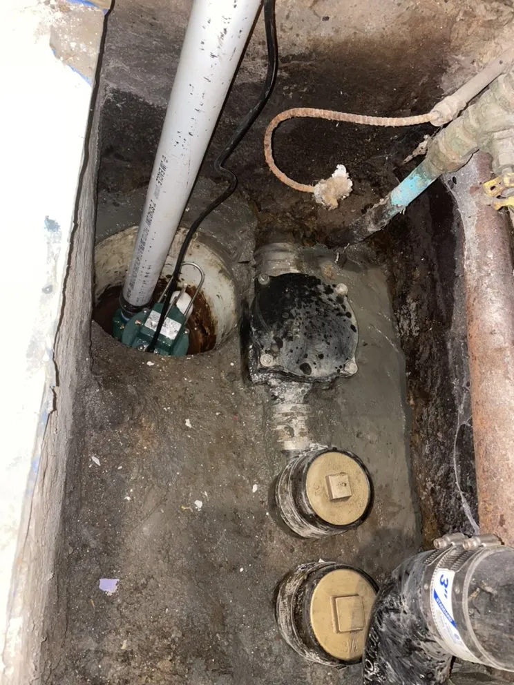 Slide of Rapid Rooter