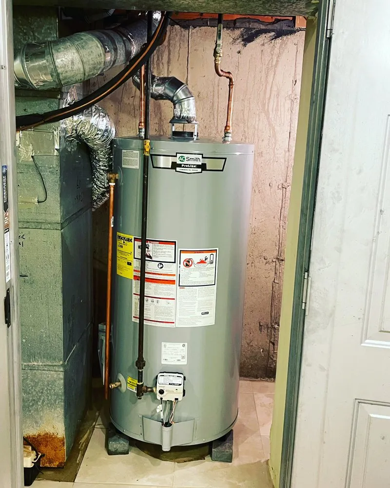 Slide of Rapid Rooter