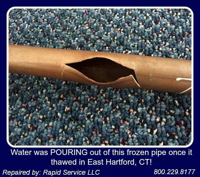 Slide of Rapid Service