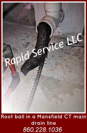 Slide of Rapid Service
