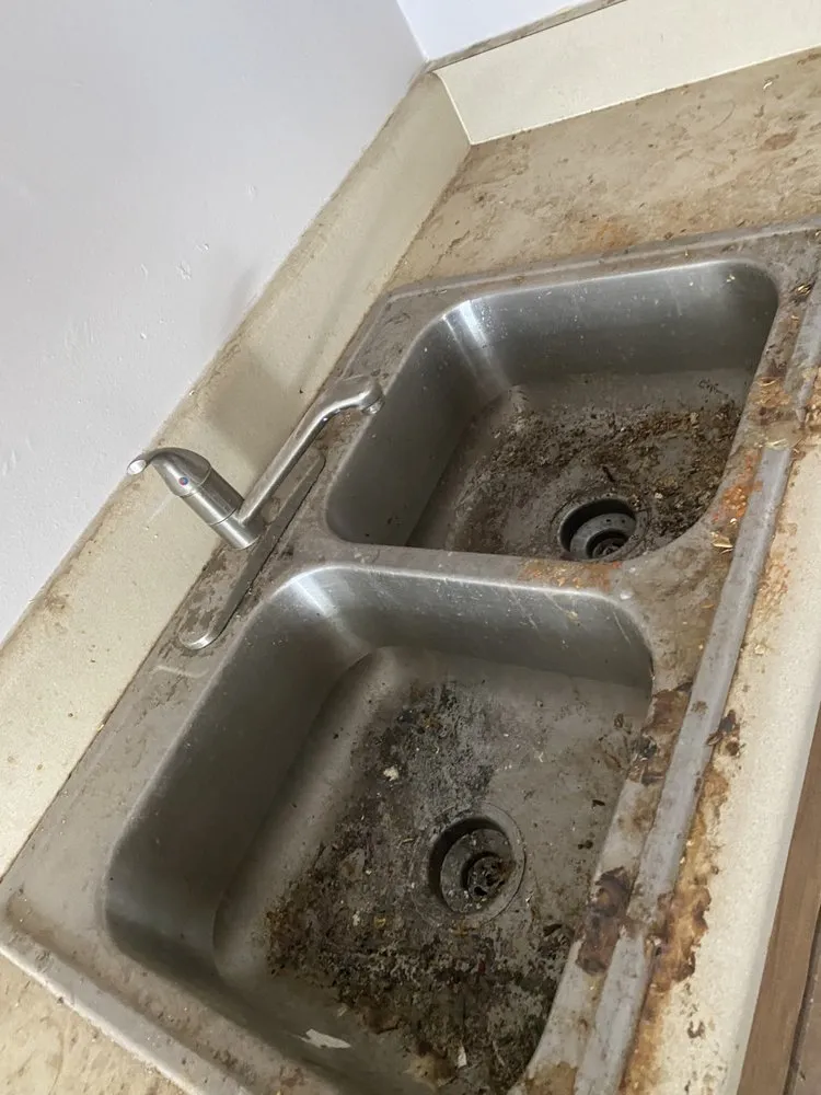 Slide of Rapmary Cleaning Handyman Service