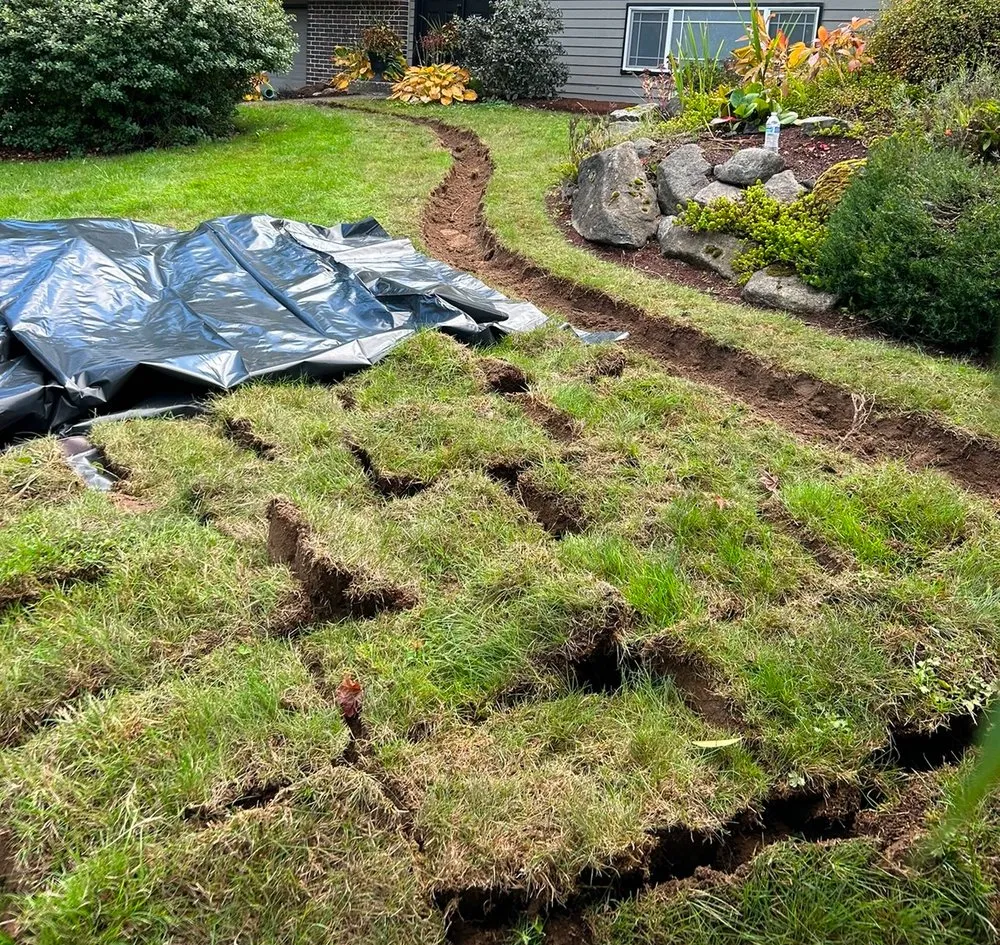 Slide of Raptor Plumbing & Sewer