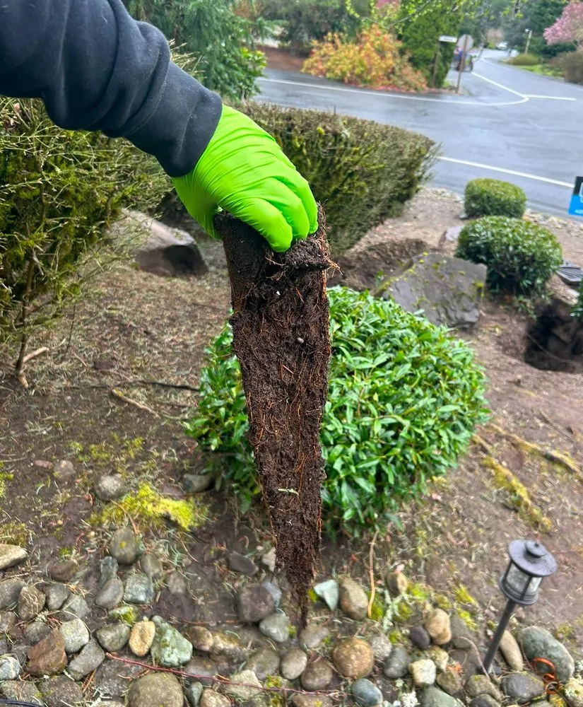 Slide of Raptor Plumbing & Sewer