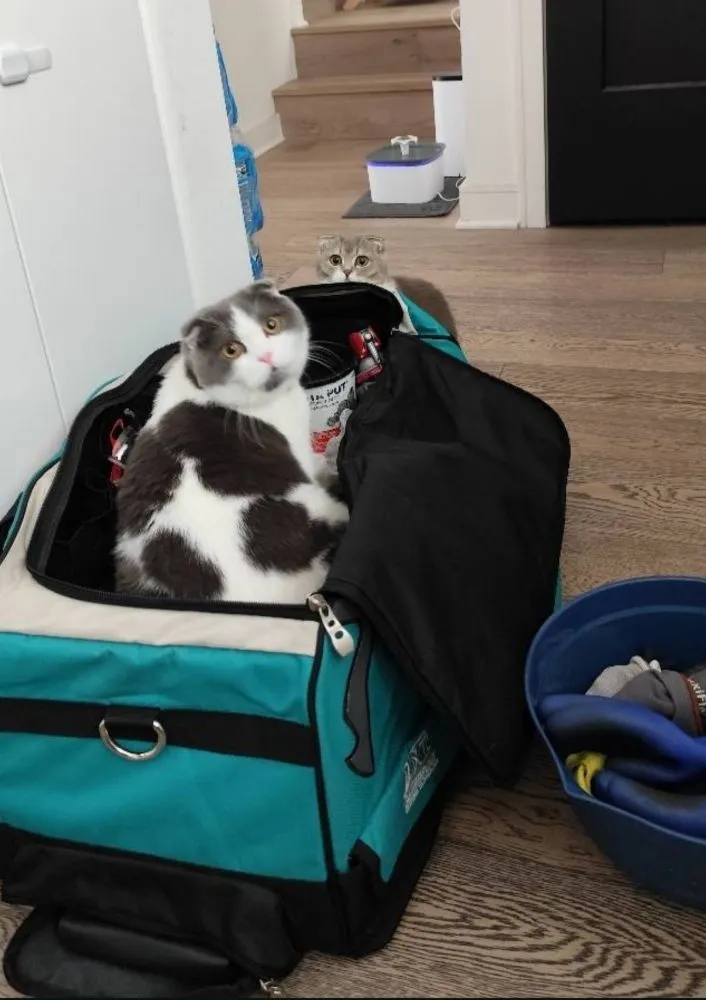 Slide of Rare plumbing