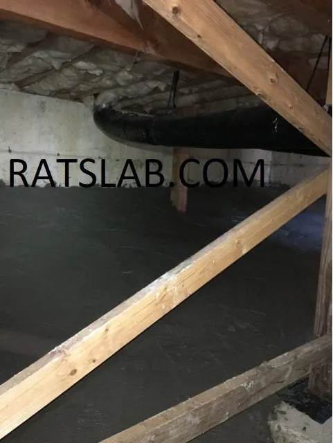 Slide of RatSlab Crawl Space Encapsulation & Waterproofing Services