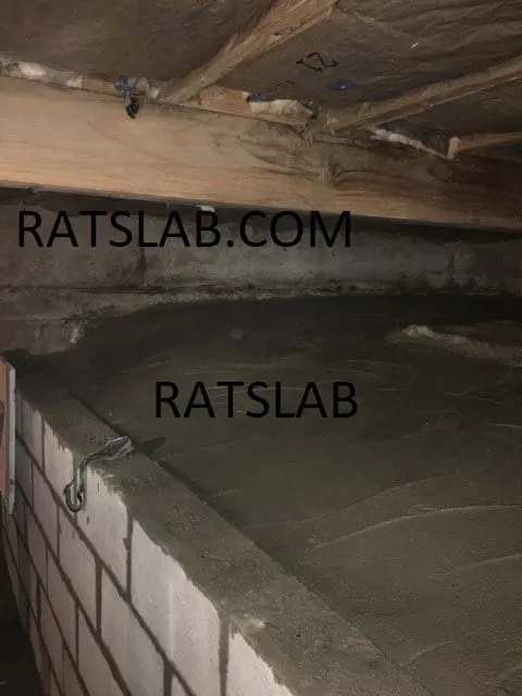 Slide of RatSlab Crawl Space Encapsulation & Waterproofing Services