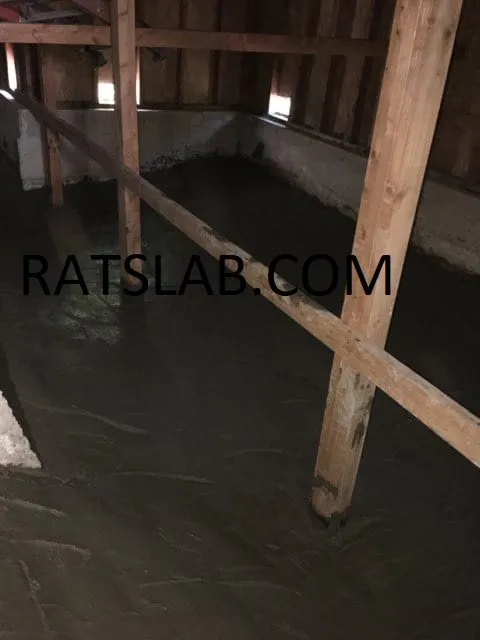 Affordable leak detection experts serving Tacoma, WA - RatSlab Crawl Space Encapsulation & Waterproofing Services