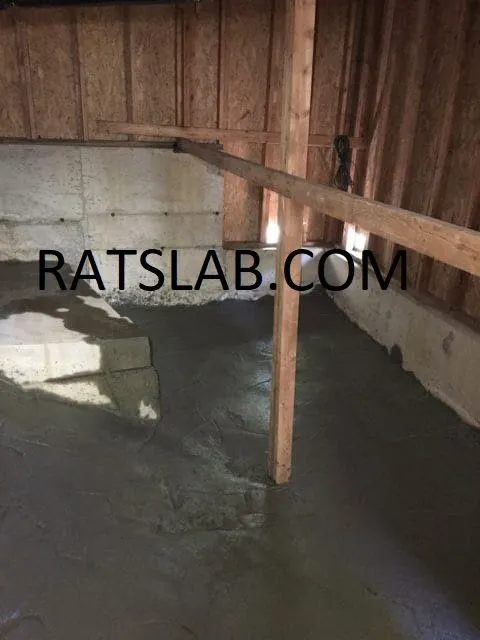 Reliable emergency plumbing service in Tacoma, WA - RatSlab Crawl Space Encapsulation & Waterproofing Services