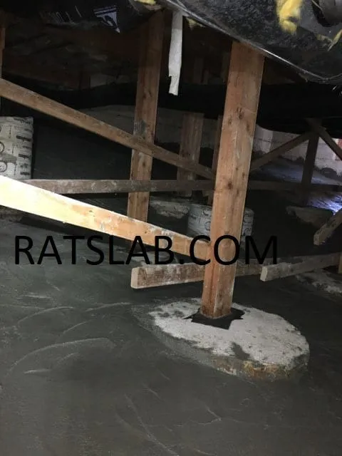Professional leak detection service in Tacoma, WA - RatSlab Crawl Space Encapsulation & Waterproofing Services