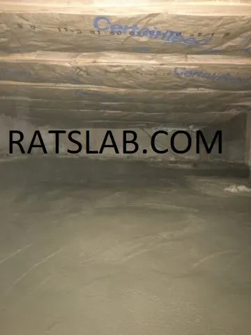 Affordable plumbing repair service in Tacoma, WA - RatSlab Crawl Space Encapsulation & Waterproofing Services