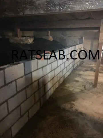 Trusted leak detection in Tacoma, WA by RatSlab Crawl Space Encapsulation & Waterproofing Services