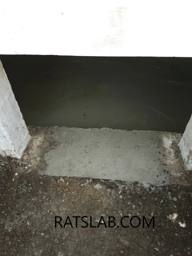 Professional emergency plumbing for homes in Tacoma, WA by RatSlab Crawl Space Encapsulation & Waterproofing Services