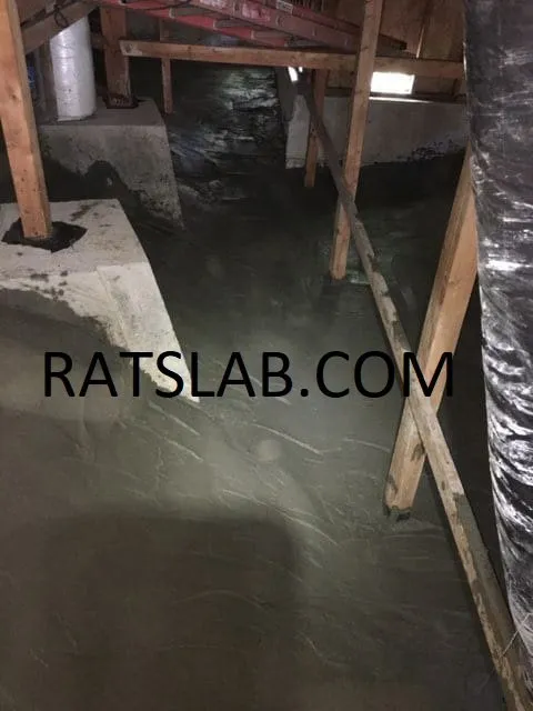 Quality pipe repair in Tacoma, WA by RatSlab Crawl Space Encapsulation & Waterproofing Services