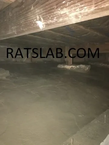 Reliable leak detection service in Tacoma, WA - RatSlab Crawl Space Encapsulation & Waterproofing Services