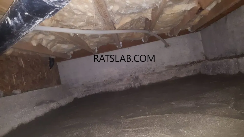 Professional pipe repair in Tacoma, WA by RatSlab Crawl Space Encapsulation & Waterproofing Services