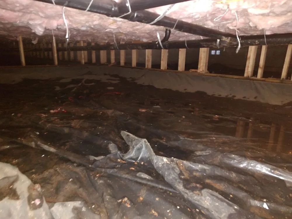 Slide of RatSlab Crawl Space Encapsulation & Waterproofing Services