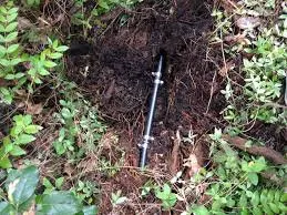 Slide of Raw Dawgs Plumbing