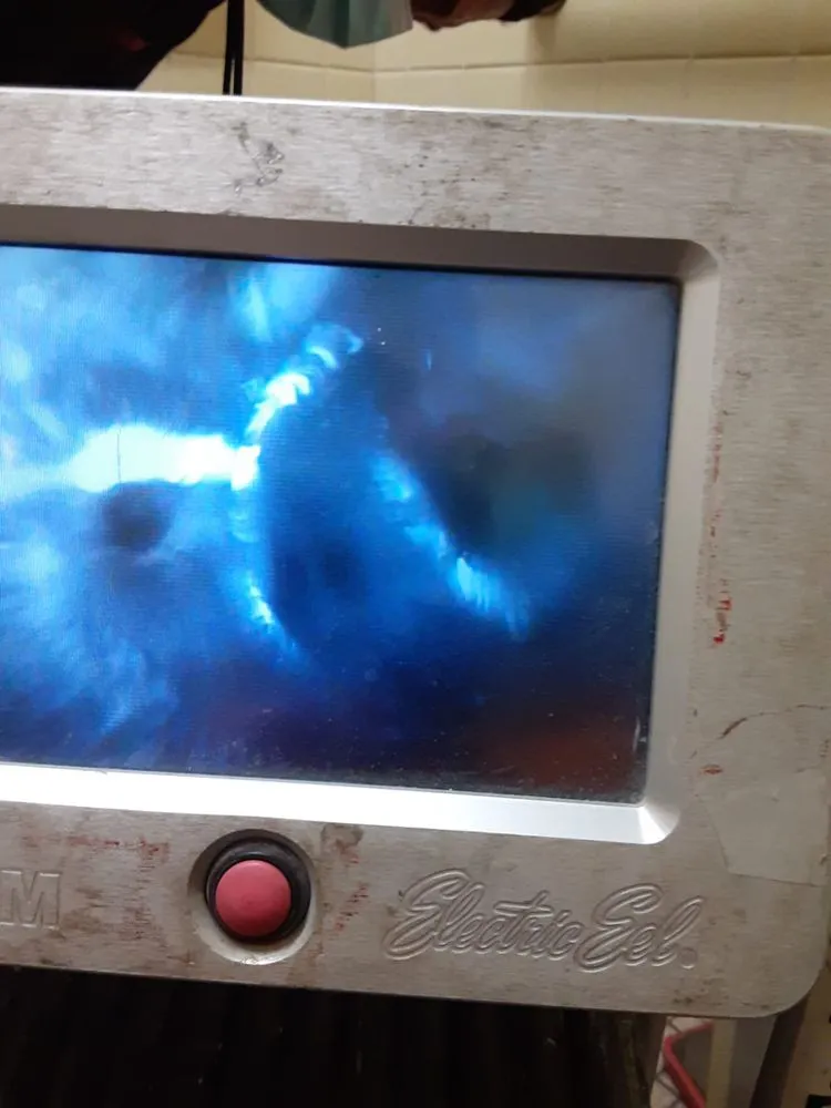 Slide of Ray Plumber