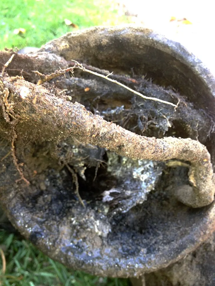 Slide of Ray Plumbing