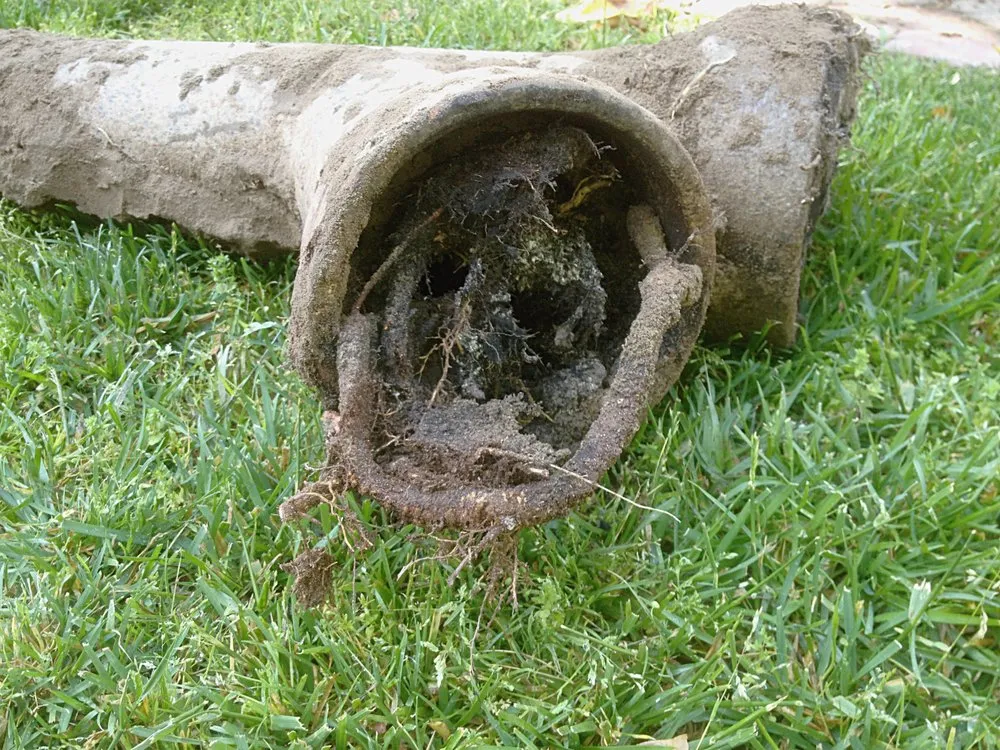 Professional drain cleaning in Woodland Hills, CA by Ray Plumbing